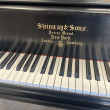 1899 Steinway ice cream cone model A grand piano with PianoDisc player system - Grand Pianos